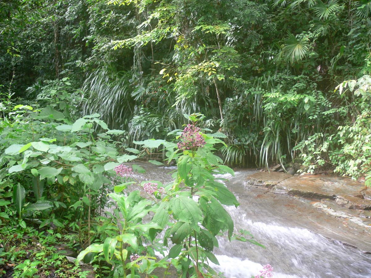 Waterfall Villas Baru Eksteriør billede